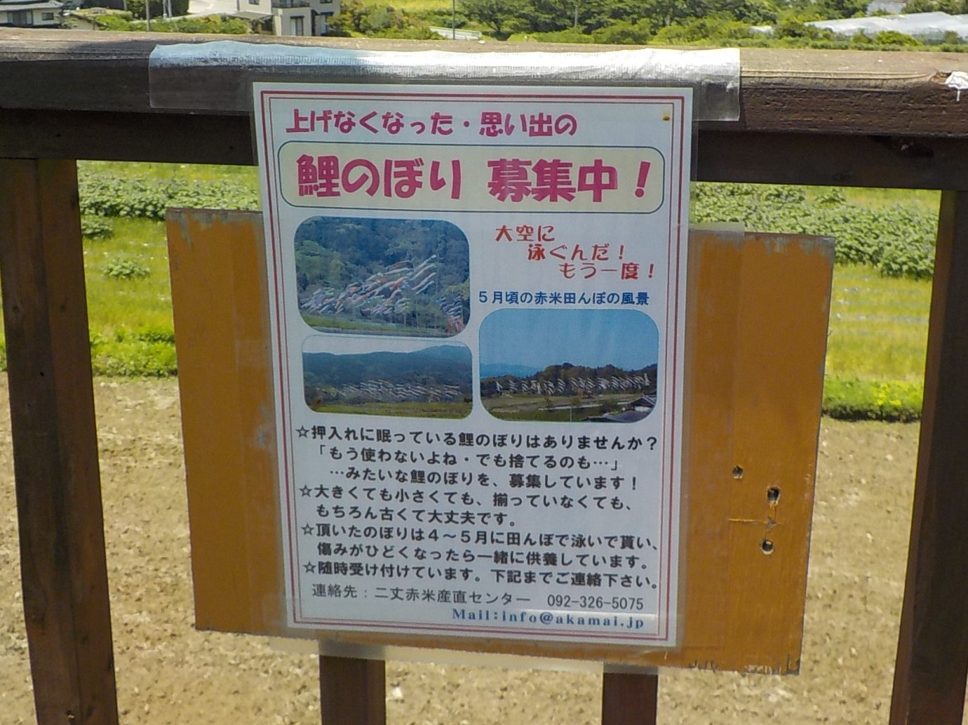 あげなくなった思い出の鯉のぼり募集中の看板