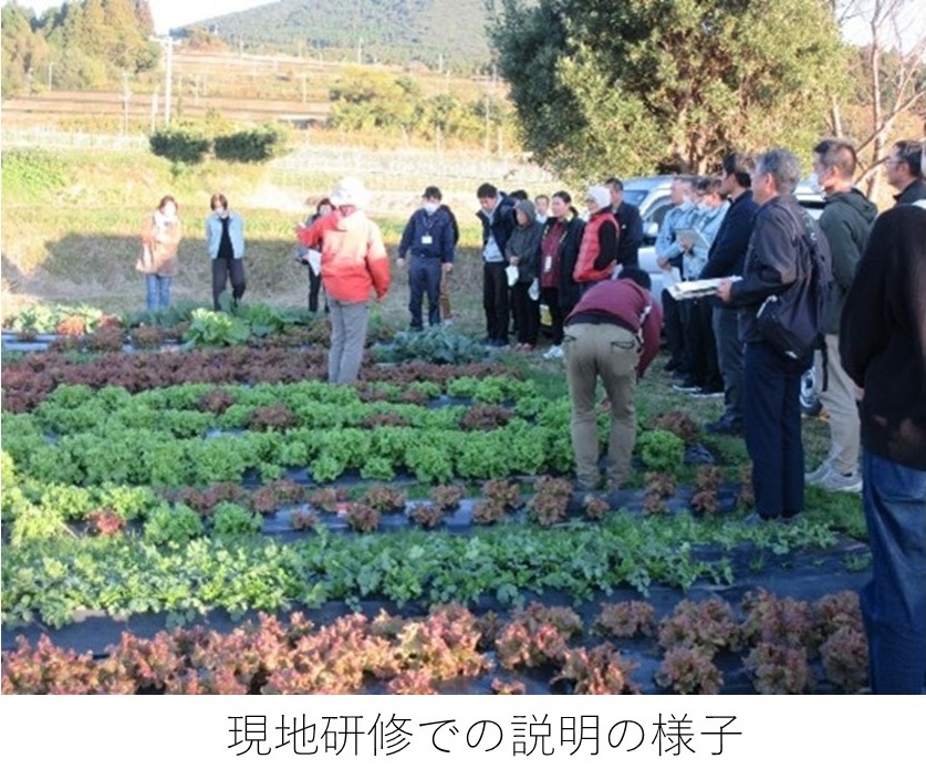 現地研修での説明の様子