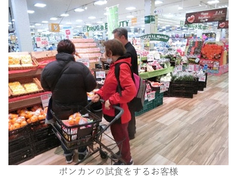 ポンカンの試食をするお客様