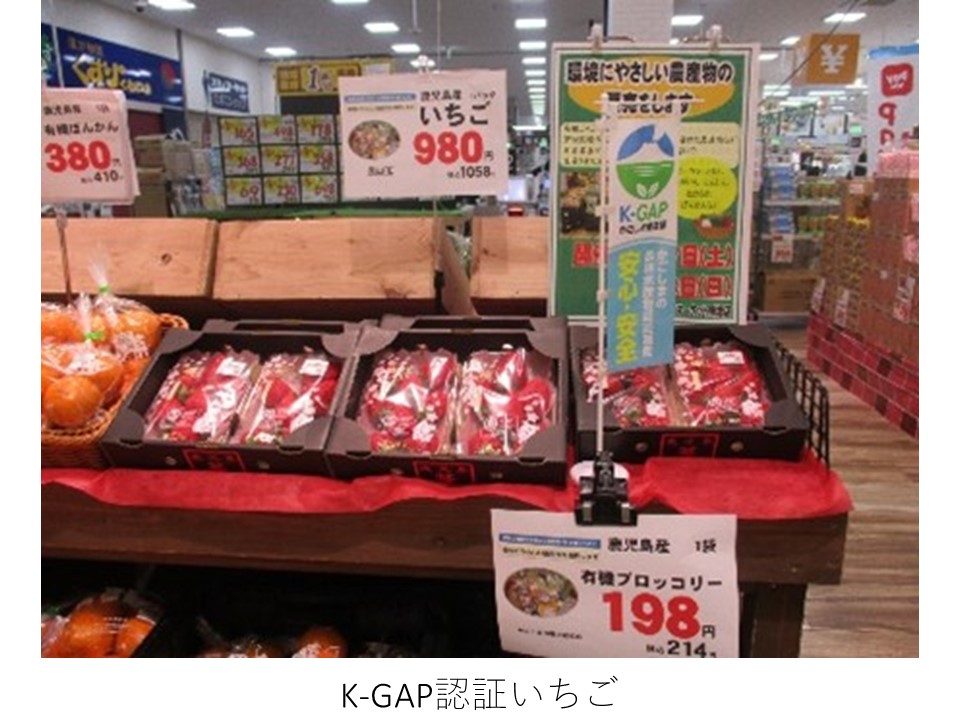 販売中のK-GAP認証いちご