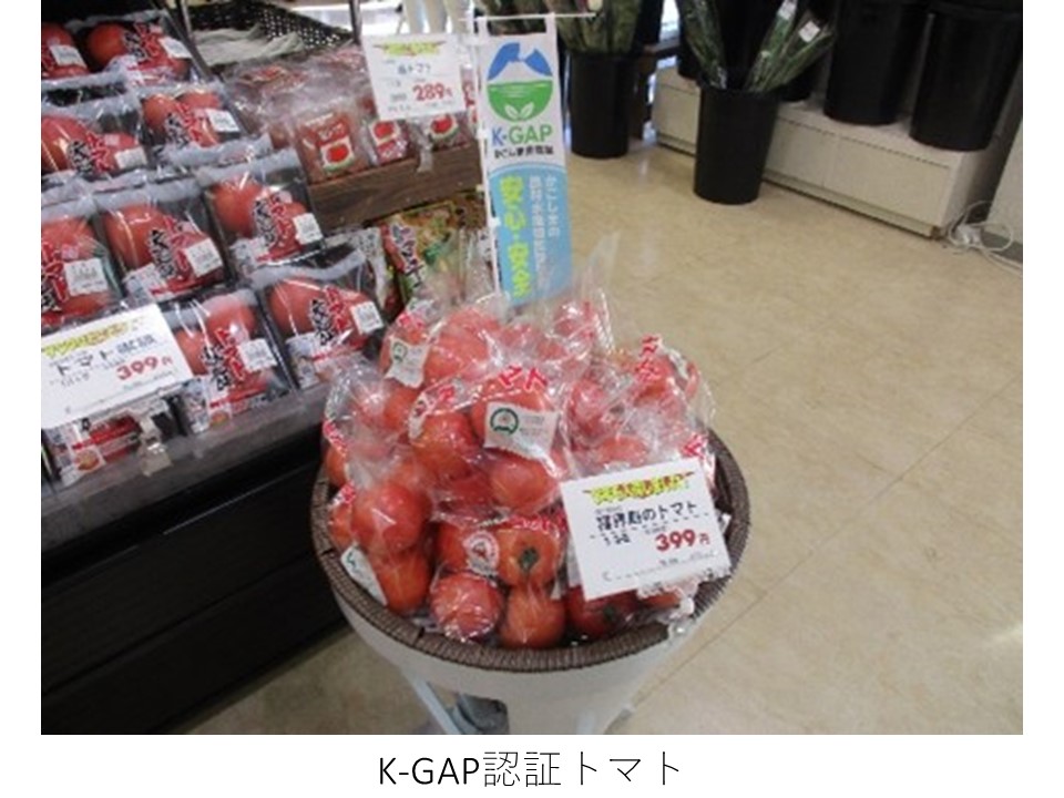 販売中のK-GAP認証トマト