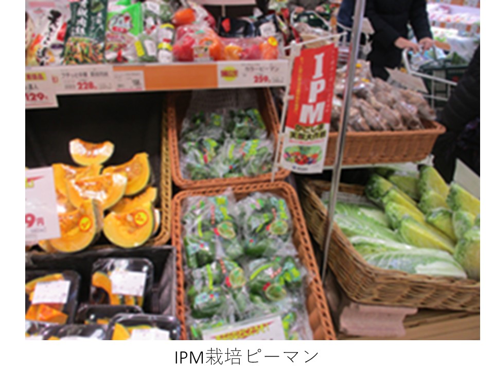 販売中のIPM栽培ピーマン