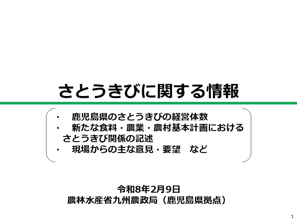 説明資料のさとうきびに関する情報