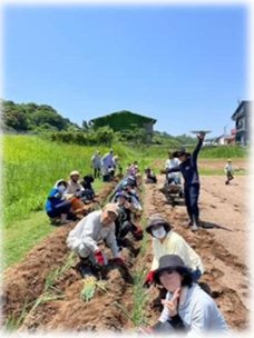 ありのまま分校の圃場風景