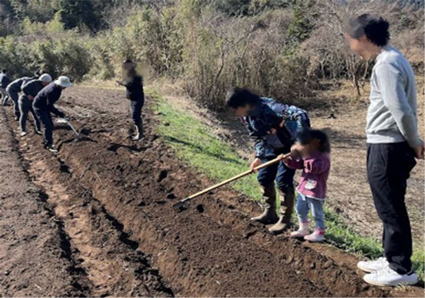 平川瑞泉郷（植付）風景