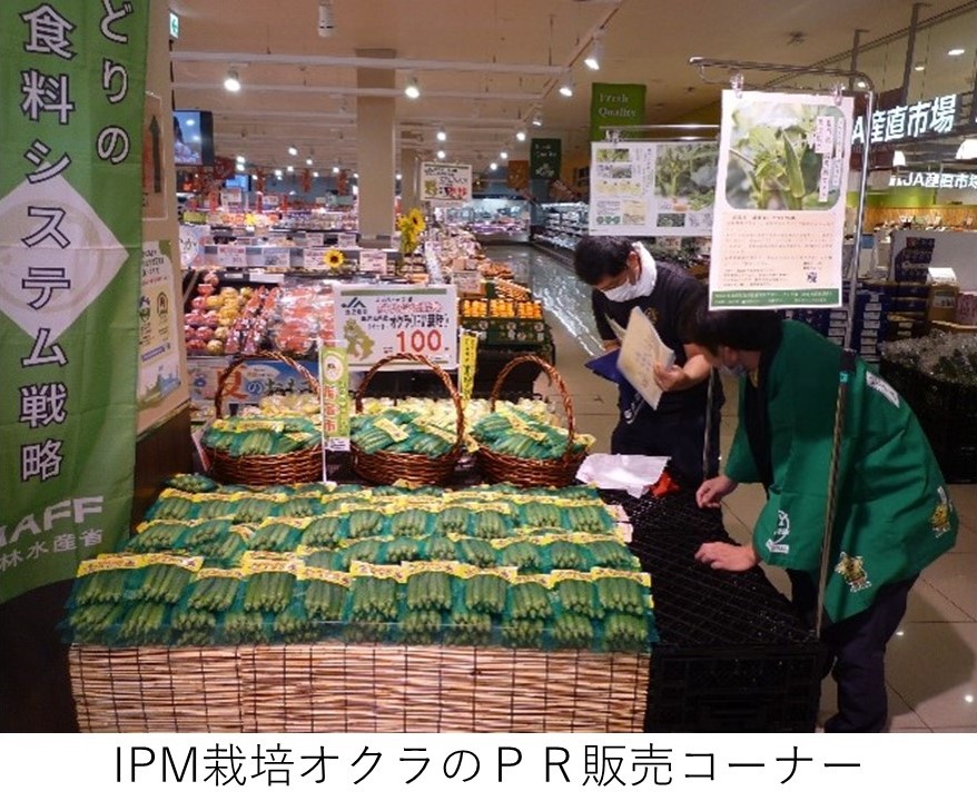 スーパーマーケット内でIPM栽培オクラを大量に展示した販促コーナーで、緑の法被姿のスタッフ2名が対応している様子