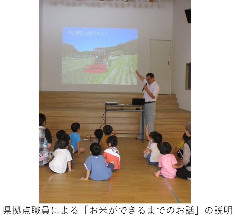県拠点職員による「お米ができるまでのお話」の説明