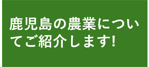 鹿児島の農業についてご紹介します!に遷移します