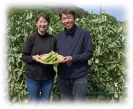 かごしま農業女子プロジェクト 松木 奈津子さん　 指宿市で野菜経営