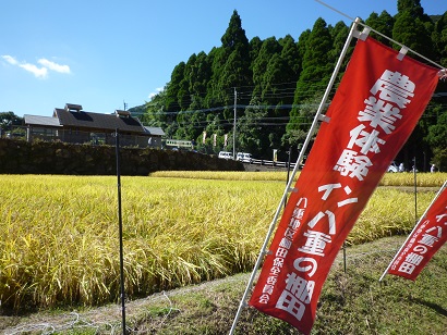 こちらは棚田オーナーのほ場