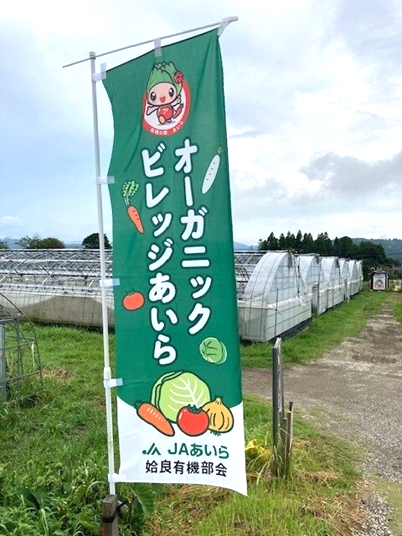 ほ場に設置されたのぼり旗