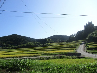 草見の棚田の風景(その1)