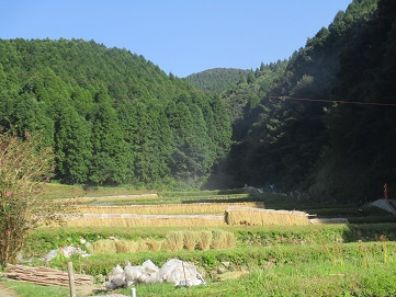 上与倉の棚田の風景(その1)