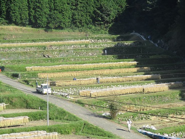 上与倉の棚田の風景(その3)