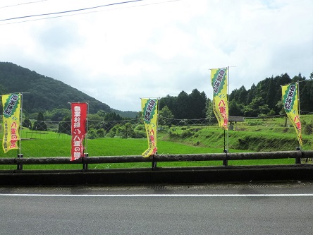 農業体験圃場に設置されたのぼり