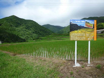 おごっ段の華の棚田の風景(その3)