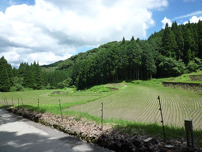 幸田の棚田の風景(その1)