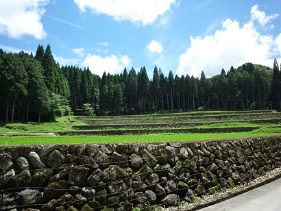 幸田の棚田の風景(その2)