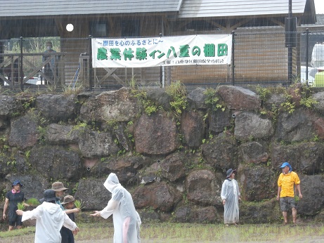 八重の棚田で田植え