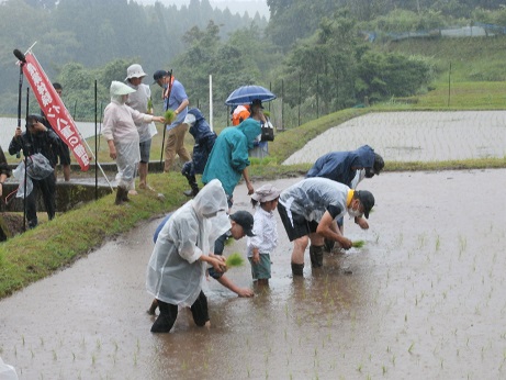 田植え体験の様子(その1)