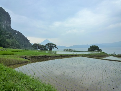 新永吉の棚田の風景(その1)