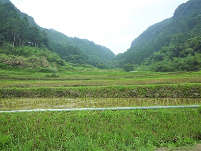 新永吉の棚田の風景(その3)