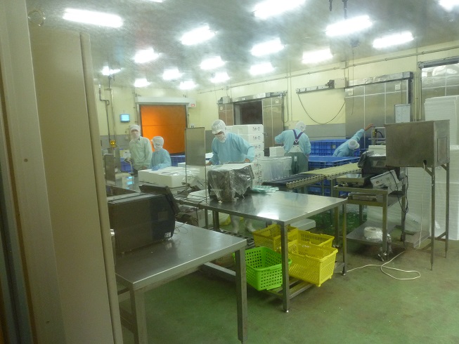 水産加工施設の内部の様子(2枚目)