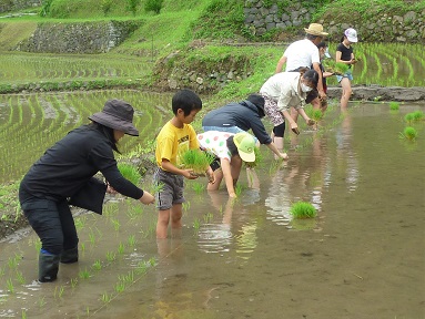 田植え体験の様子（その１）