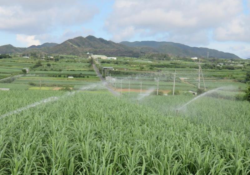 畑かん通水が完了したほ場