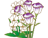 花き