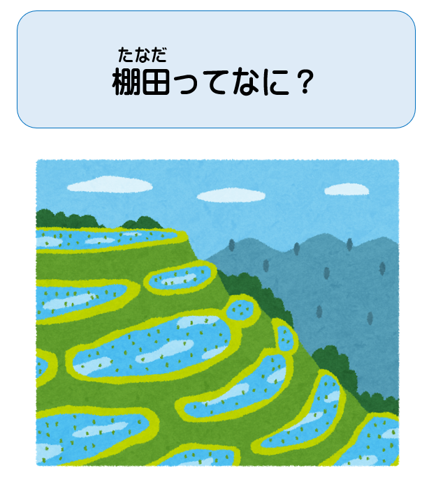 棚田ってなに？