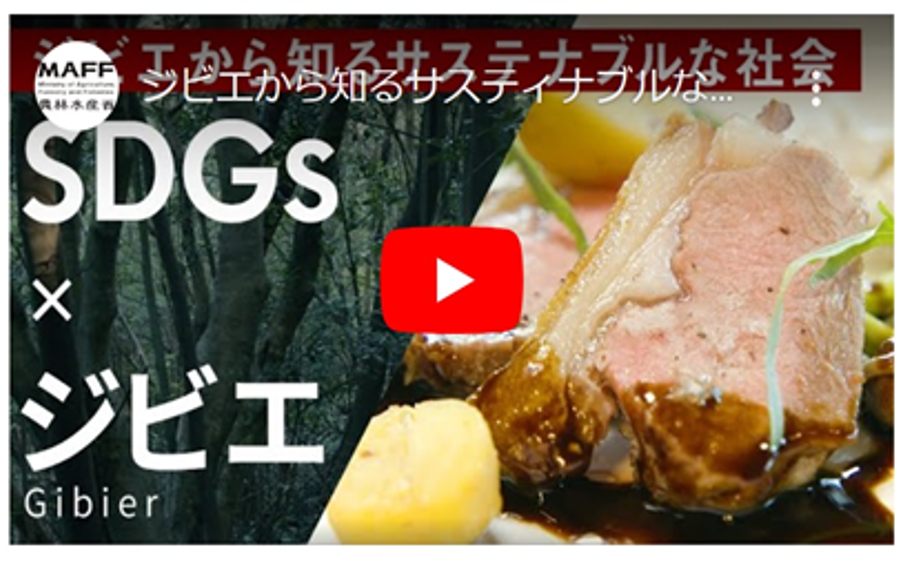 SDGs × ジビエ