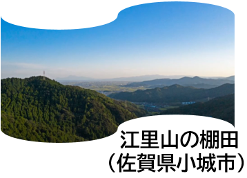 江里山の棚田