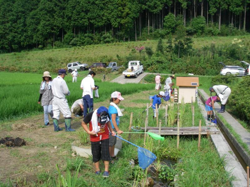 生き物観察会