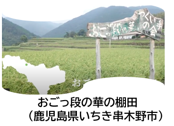 おごっ段の華の棚田
