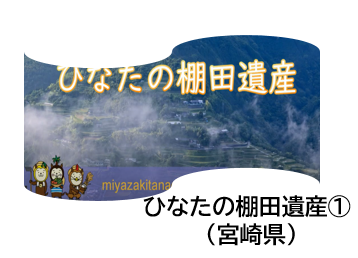 日なたの棚田