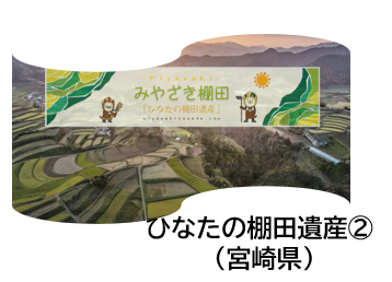 ひなたの棚田
