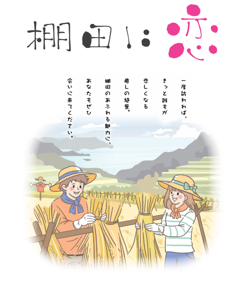 棚田に恋
