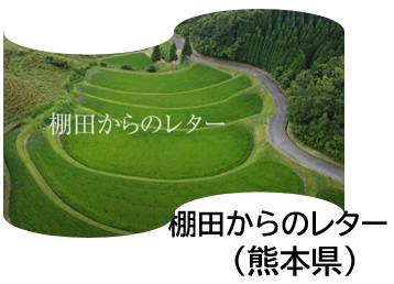 棚田からのレター