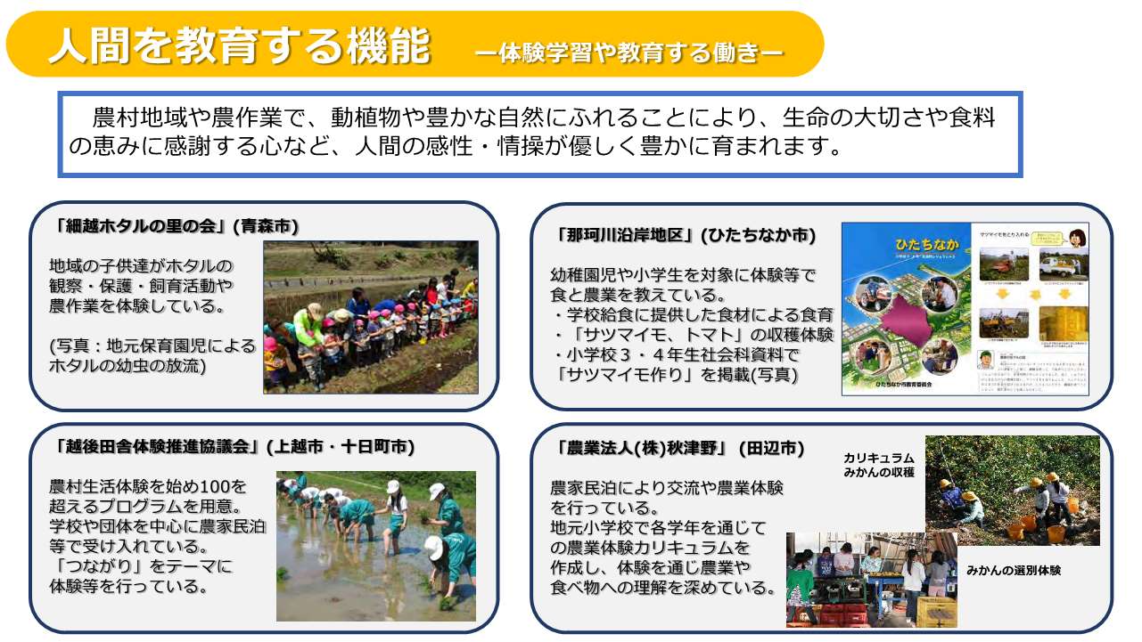 人間教育