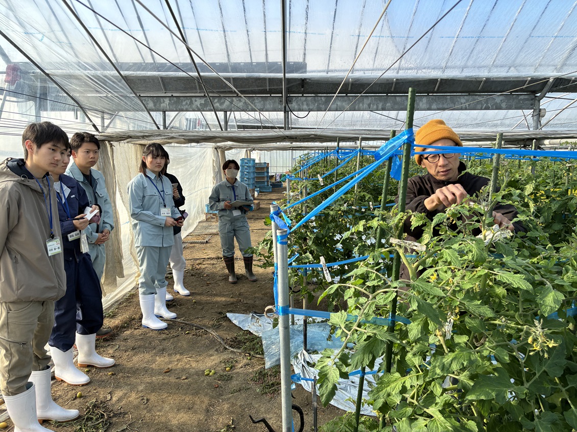 トマト収穫の説明を聞く職員と学生
