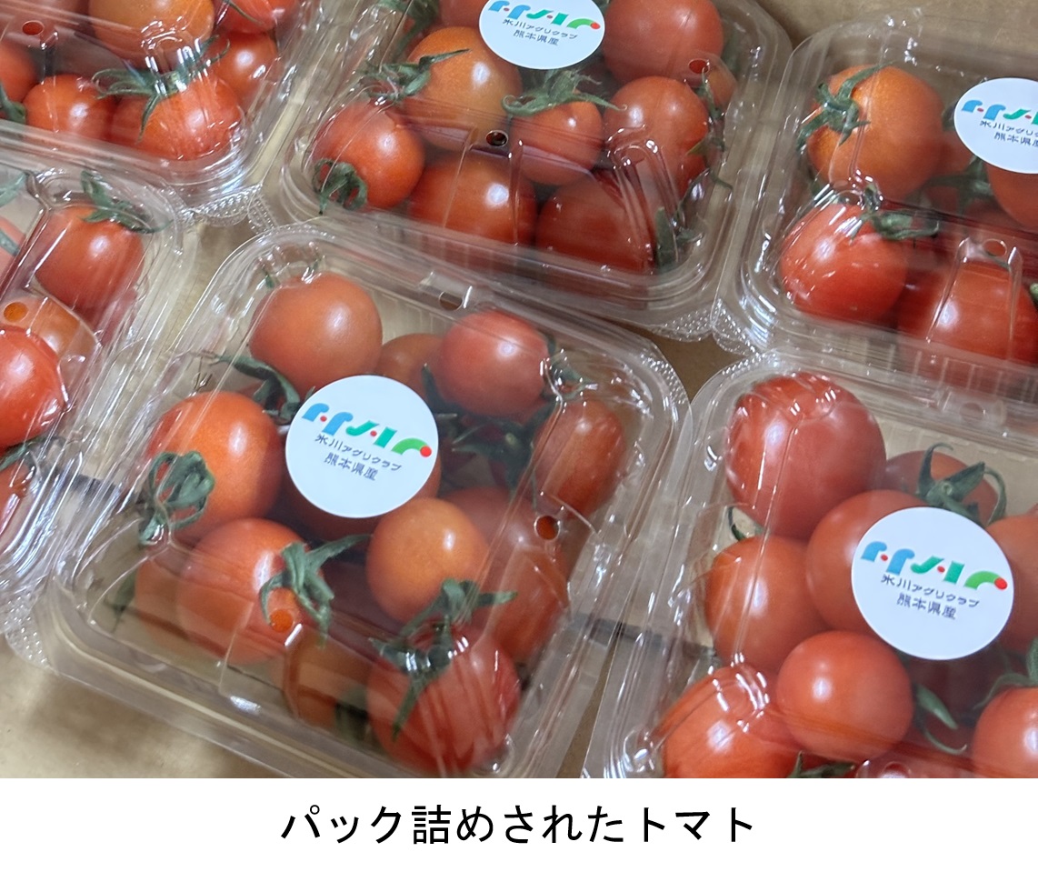 パック詰めされたトマト