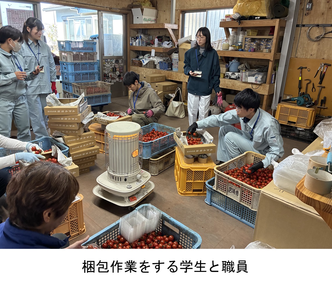梱包作業をする学生と職員