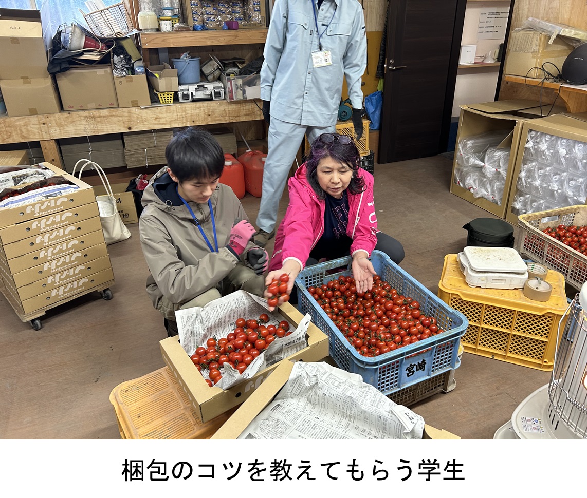 梱包のコツを教えてもらう学生
