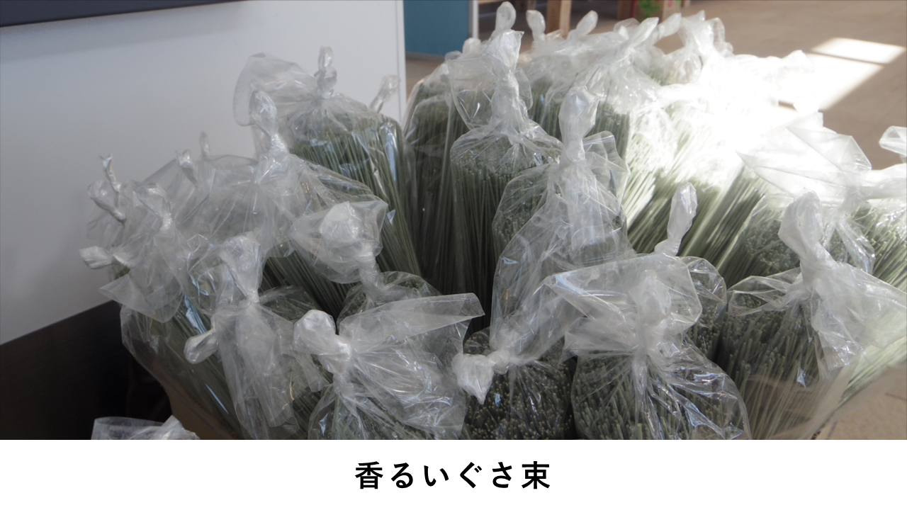 香るいぐさ束アップ