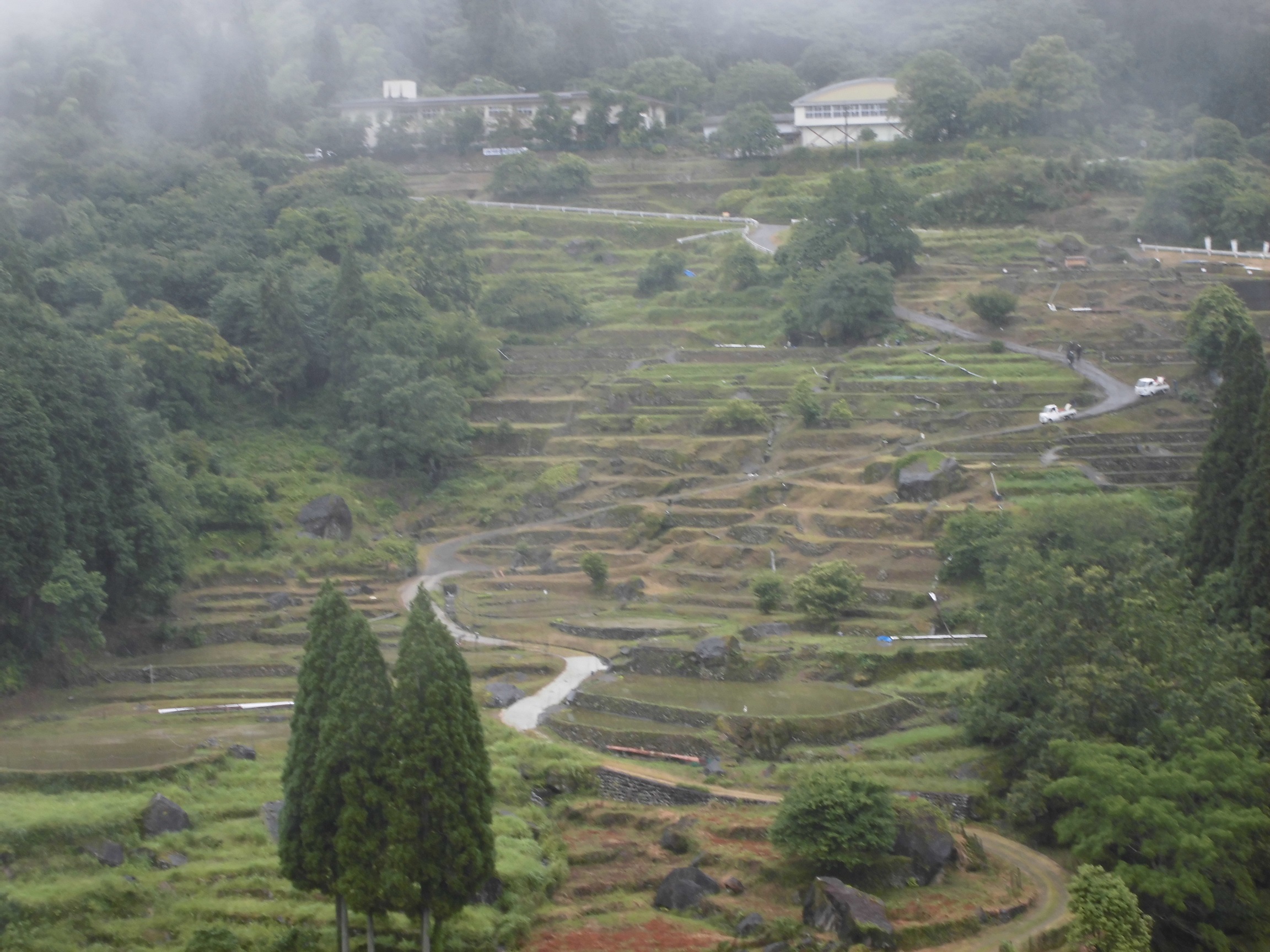 棚田全景