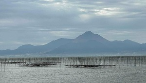 001_海苔養殖河内町