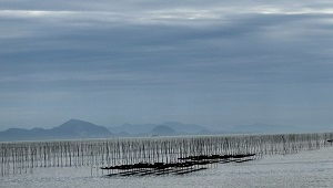 002_海苔養殖河内町