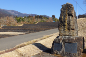 畦畔の野焼きの風景