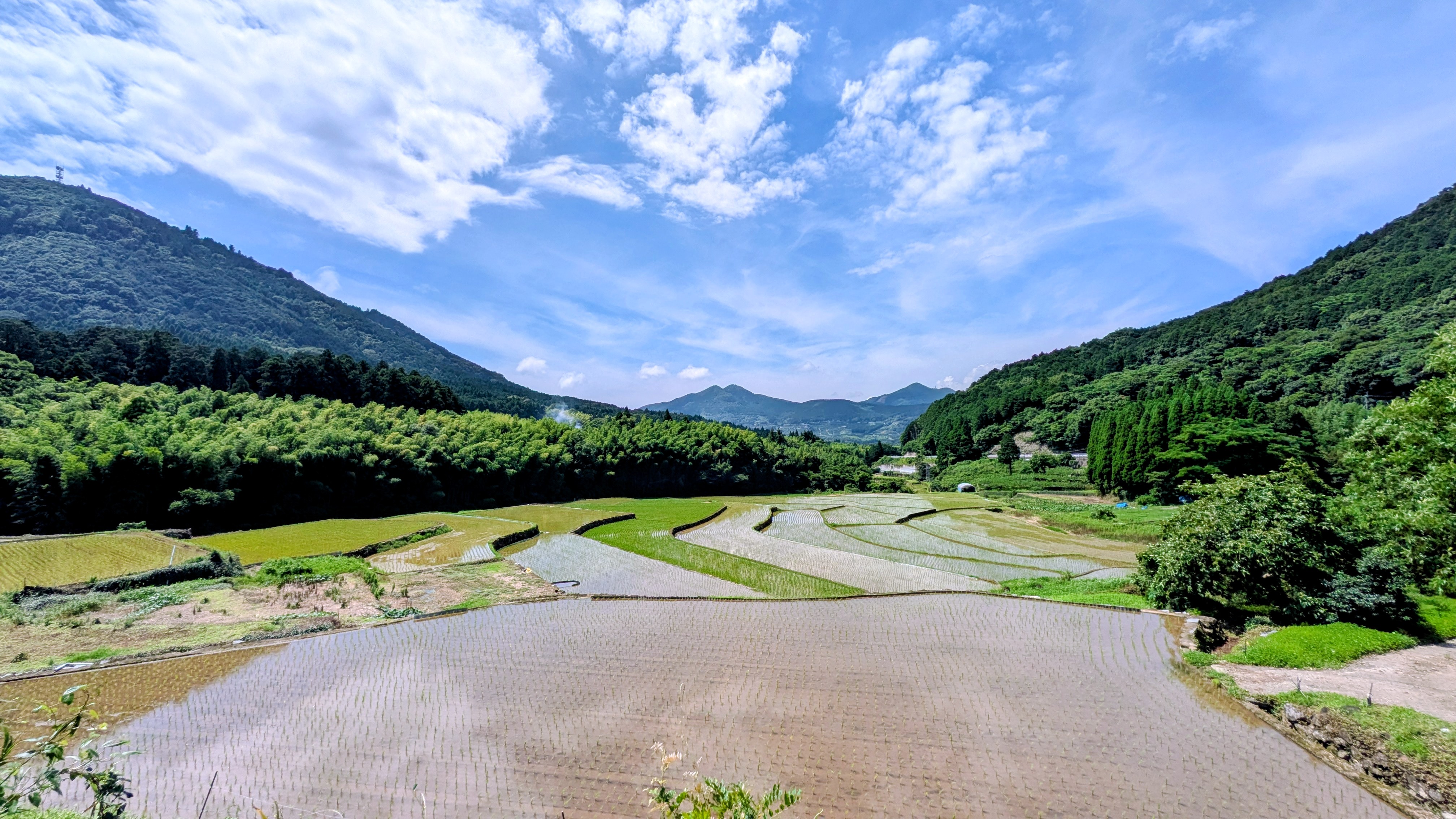 大将陣の棚田の全景